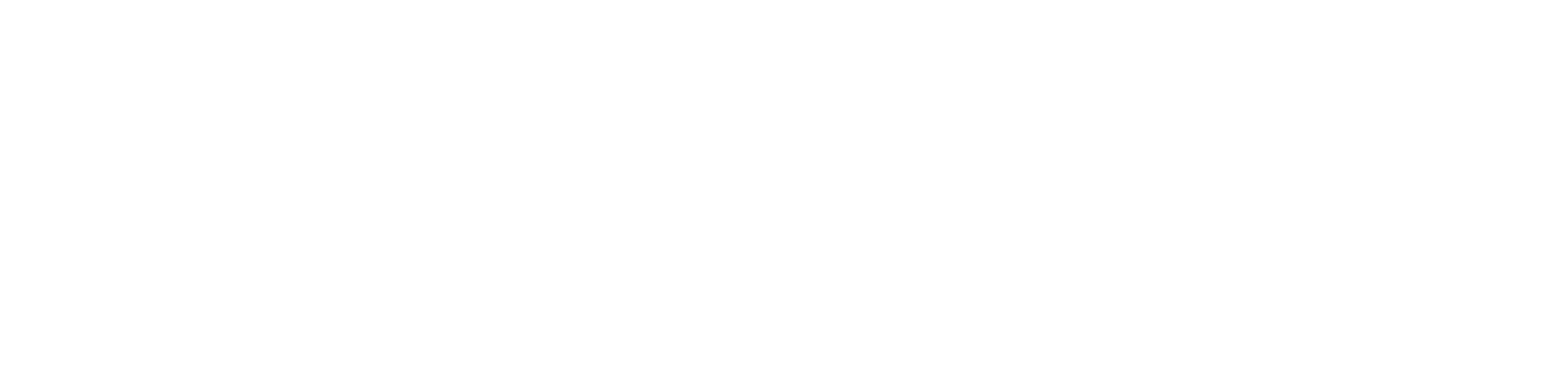 HolaToggle Logo